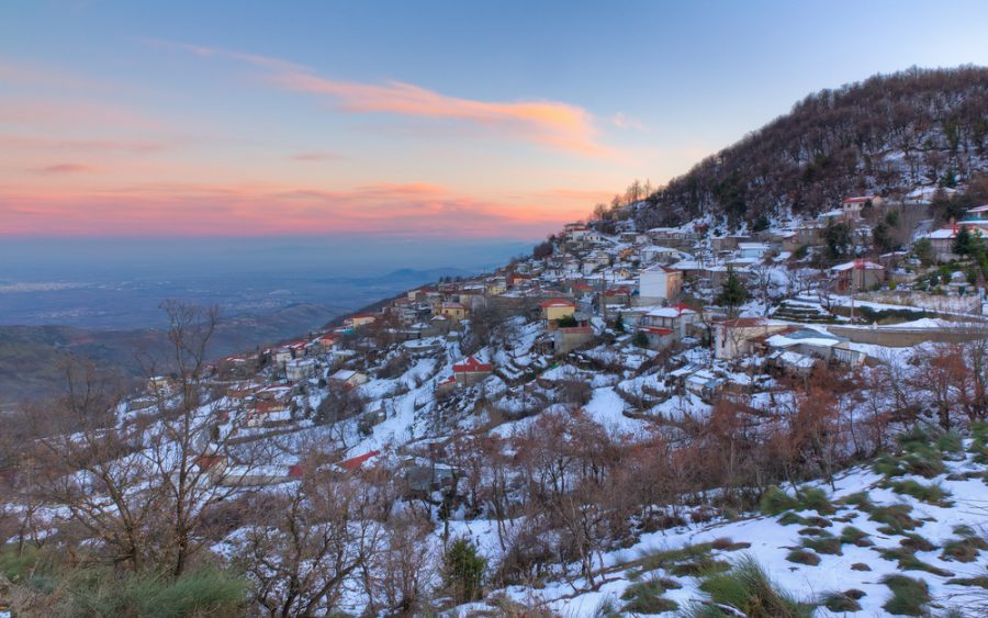 Καρδίτσα