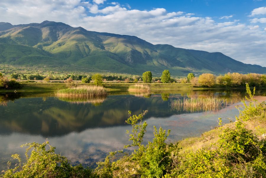 λίμνη κερκίνη Σέρρες