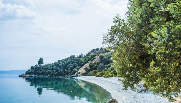 προσφορές ξενοδοχείων στην εύβοια