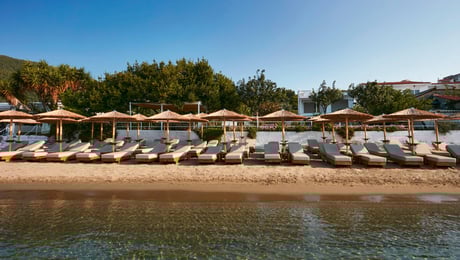 Ammos Luxury Apartments - Μεγάλη Άμμος, Σκιάθος