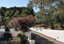 4* Anamar Skiathos Hotel