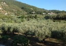 Χώρα, Σκόπελος με ημιδιατροφή + παιδί Δωρεάν με 122€/διανυκτέρευση