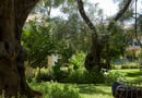 Πάργα με πρωινό + παιδί Δωρεάν