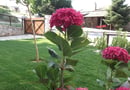 Πήλιο 30% για 2 Άτομα με 70€/Διανυκτέρευση