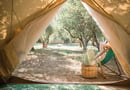 Odyssey Eco Farm Glamping