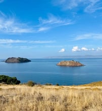 Birds Bay - Πέτρα, Λέσβος