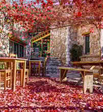 Pritanio Guesthouse