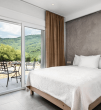 Gefiri Plakas Hotel - Τζουμέρκα