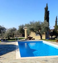 Socrates Organic Village Wild Olive - Αγριλιά, Μεσολόγγι