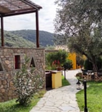 Socrates Organic Village Wild Olive - Αγριλιά, Μεσολόγγι
