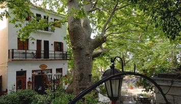 Kritsa Gastronomy Hotel - Πορταριά Πηλίου
