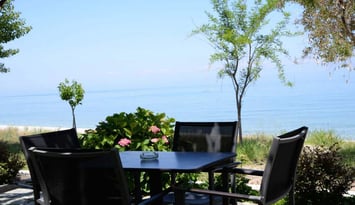 Cleopatra Hotel - Χορευτό, Πήλιο