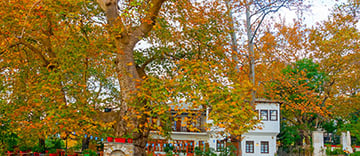 Πήλιο - Λουτρά Πόζαρ