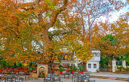 Βόλος - Ιωάννινα - Καρπενήσι - Πήλιο