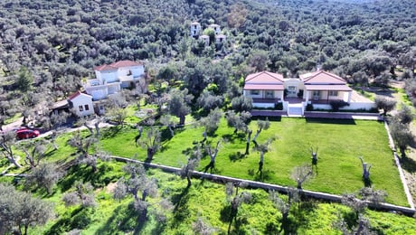 Gera's Olive Grove (Elaionas Tis Geras) - Κόλπος Γέρας, Λέσβος