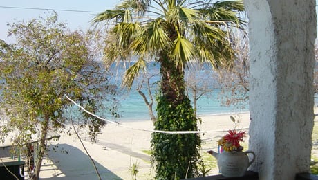 Captain Beach Boutique Apartments - Λιμένας, Θάσος