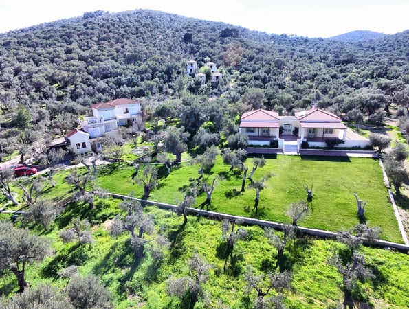 Gera's Olive Grove (Elaionas Tis Geras) - Κόλπος Γέρας, Λέσβος