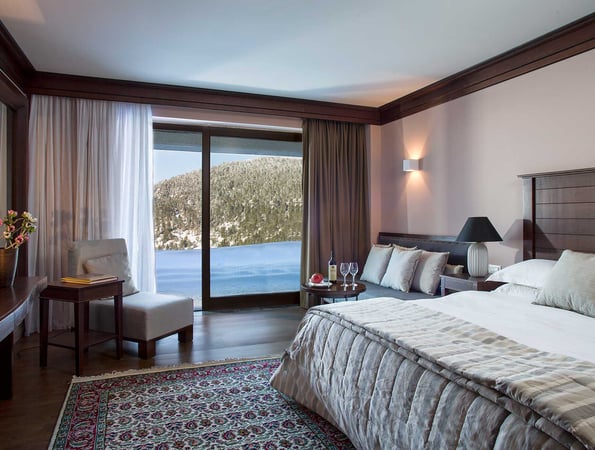 5* Grand Forest Metsovo - Μέτσοβο