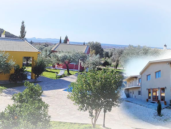 Socrates Organic Village Wild Olive - Αγριλιά, Μεσολόγγι