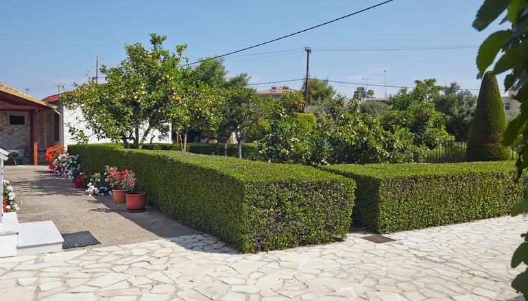 Pettas Apartments Zakynthos