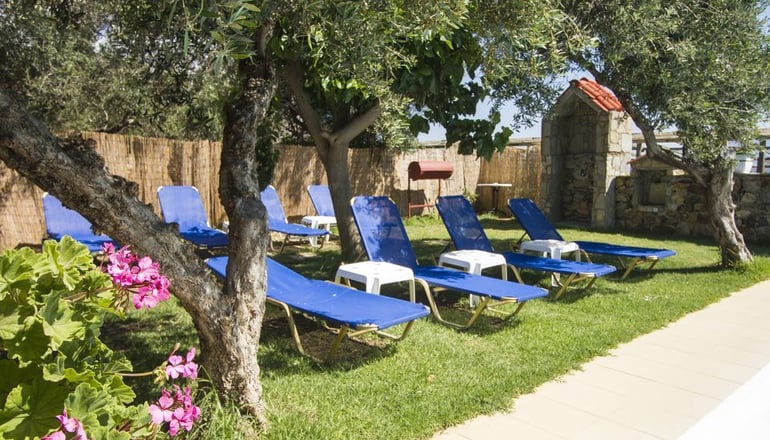 Olive Tree Apartments