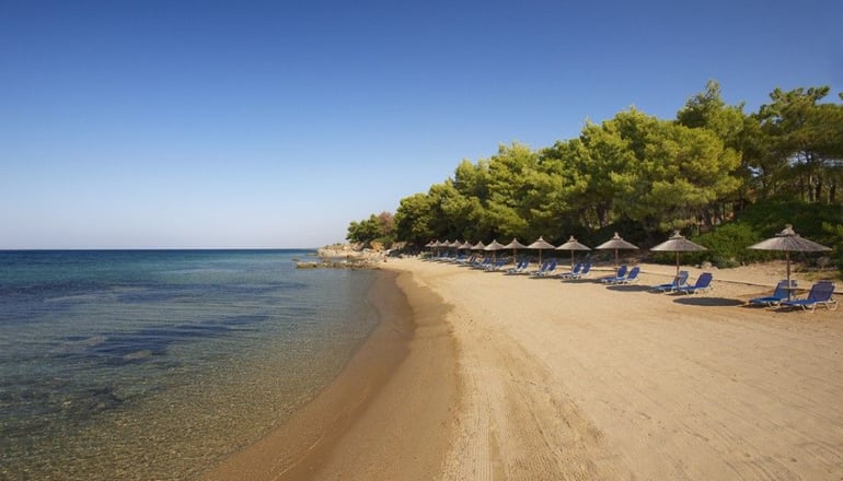 4* Blue Dolphin Hotel Chalkidiki