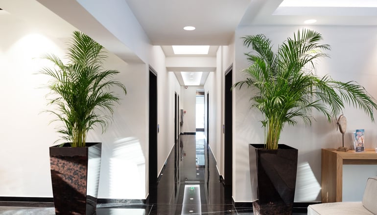 4* Sea Level Hotel Chalkidiki