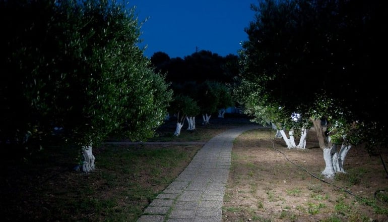 Aphrodite Samos Suites