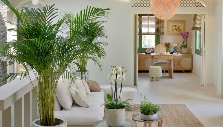 Casa Di Fiori Suites - Χώρα, Άνδρος