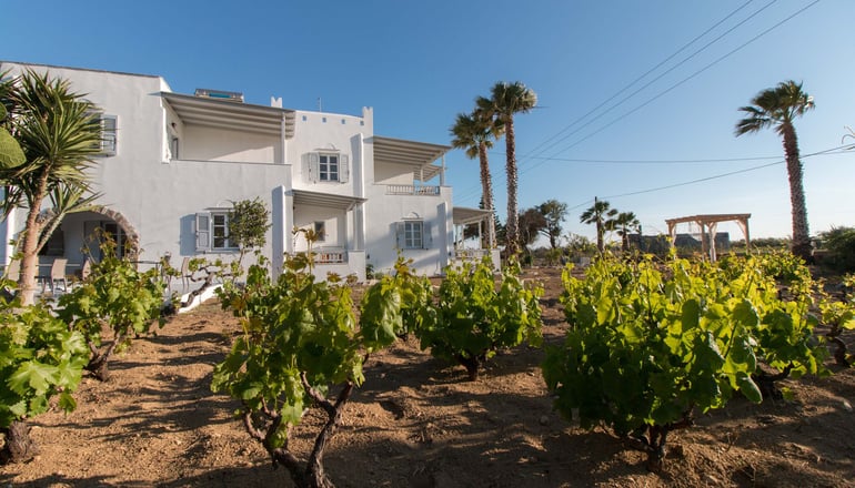 Ktima Bianco Naxos