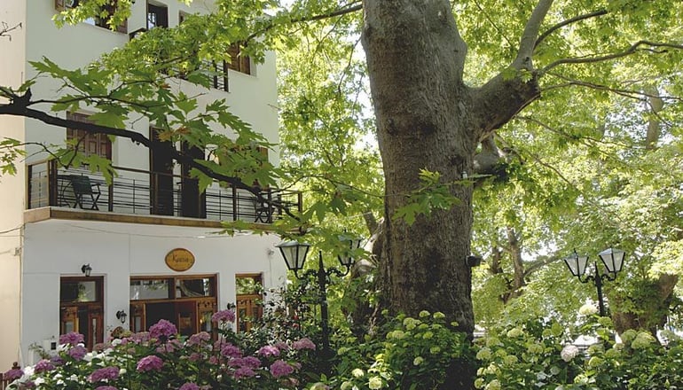 Kritsa Gastronomy Hotel - Πορταριά Πηλίου