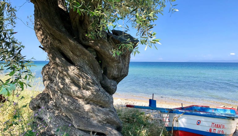 Byblos Mare Villa by Byblos Luxury Villas