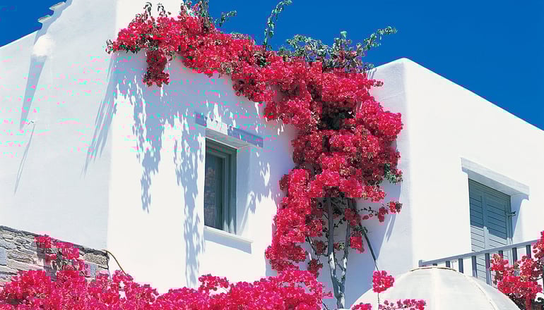 5* Yria Island Boutique Hotel & Spa - Παρασπόρος, Πάρος