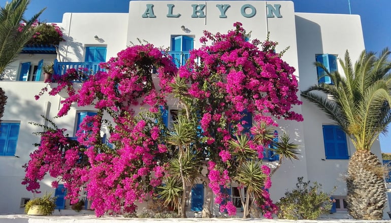 Alkyon Hotel - Μέγας Γιαλός, Σύρος