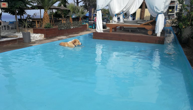 Beach Hotel Thassos