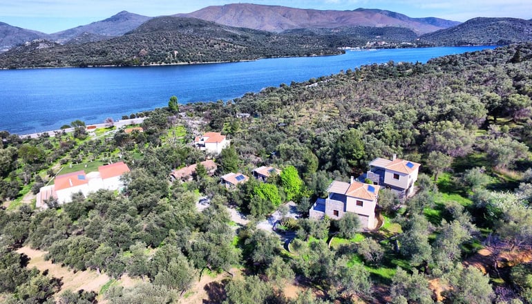 Gera's Olive Grove (Elaionas Tis Geras) - Κόλπος Γέρας, Λέσβος