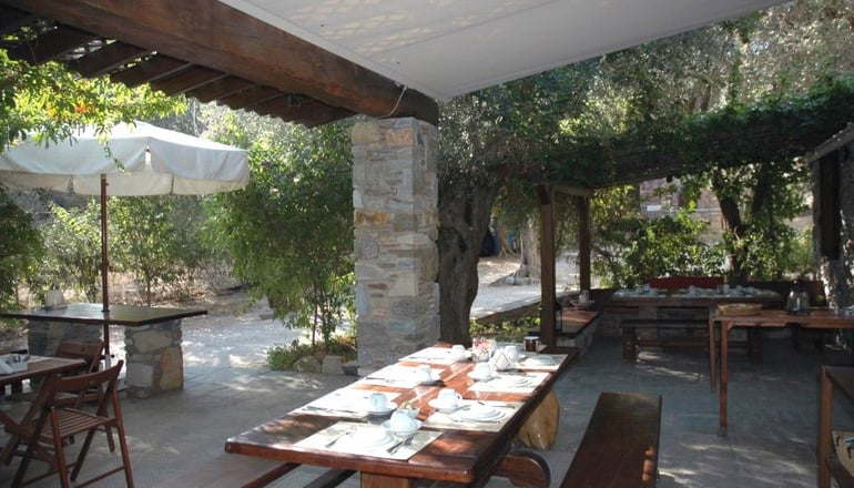 Gera's Olive Grove (Elaionas Tis Geras) - Κόλπος Γέρας, Λέσβος