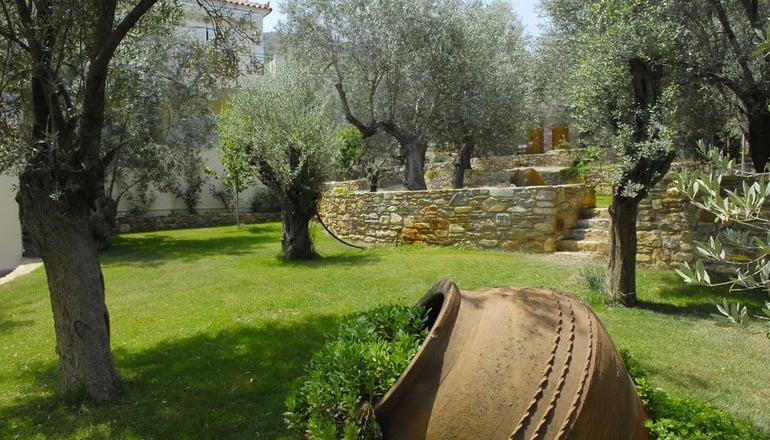 Gera's Olive Grove (Elaionas Tis Geras) - Κόλπος Γέρας, Λέσβος