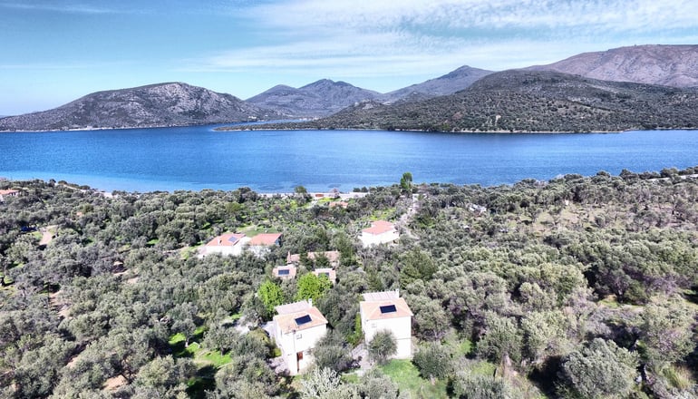 Gera's Olive Grove (Elaionas Tis Geras) - Κόλπος Γέρας, Λέσβος