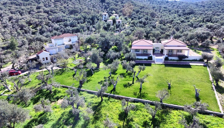 Gera's Olive Grove (Elaionas Tis Geras) - Κόλπος Γέρας, Λέσβος