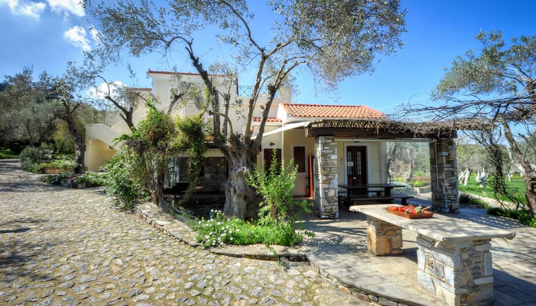 Gera's Olive Grove (Elaionas Tis Geras) - Κόλπος Γέρας, Λέσβος