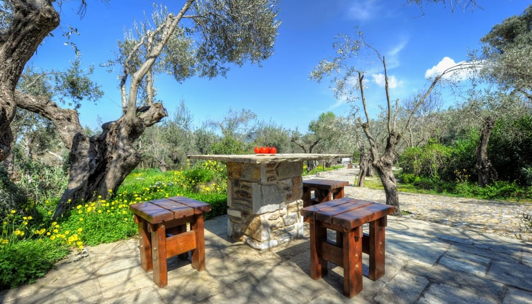 Gera's Olive Grove (Elaionas Tis Geras) - Κόλπος Γέρας, Λέσβος