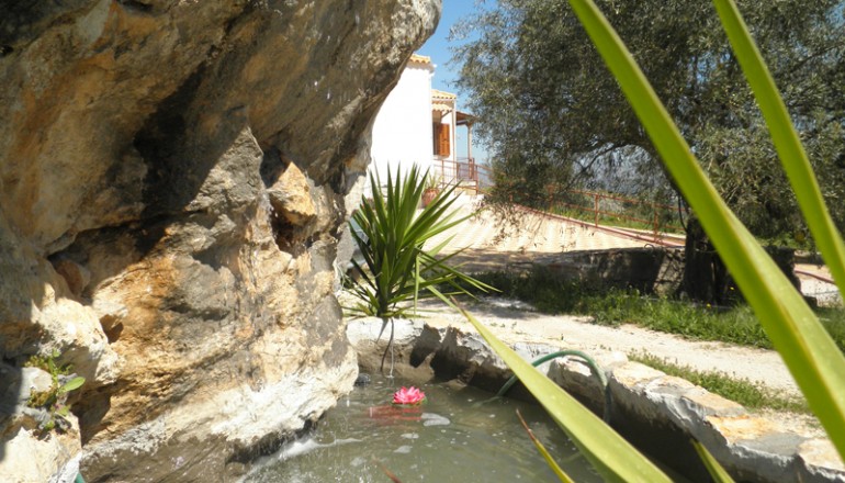 Κτήμα Δάφνες