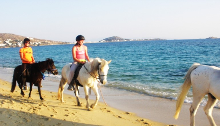 Blue Harmony Apartments