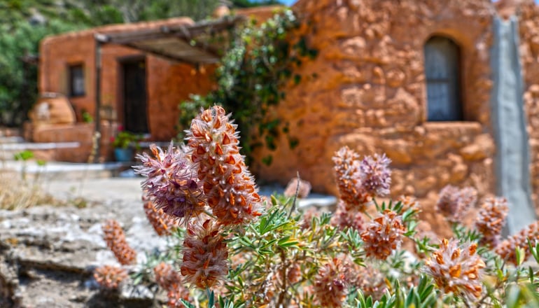 Aspros Potamos Houses - Μακρύς Γιαλός, Κρήτη