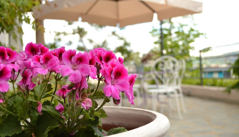 Ellopia Point - Ιωάννινα