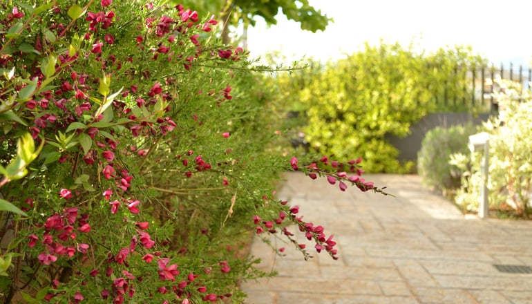 Ellopia Point - Ιωάννινα