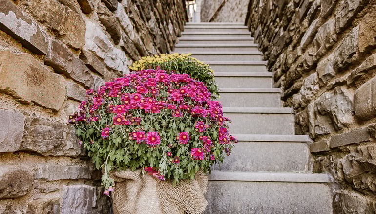 4* Rodia Boutique Hotel