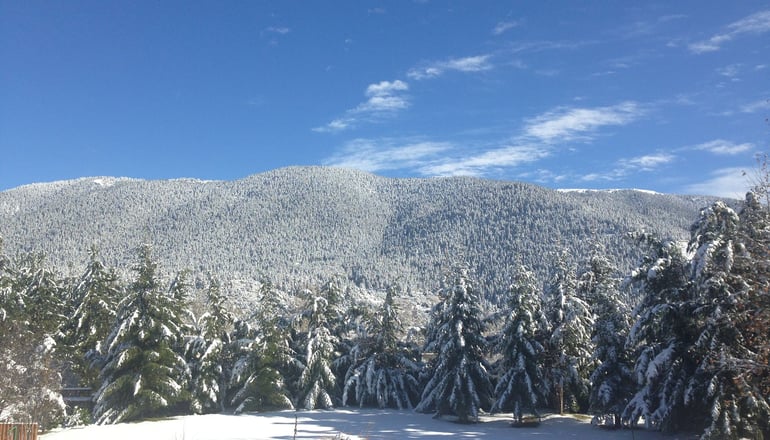 Vitina House Forest Resort