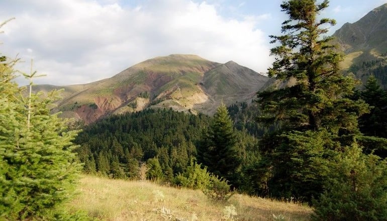 Anerada Inn Boutique Hotel